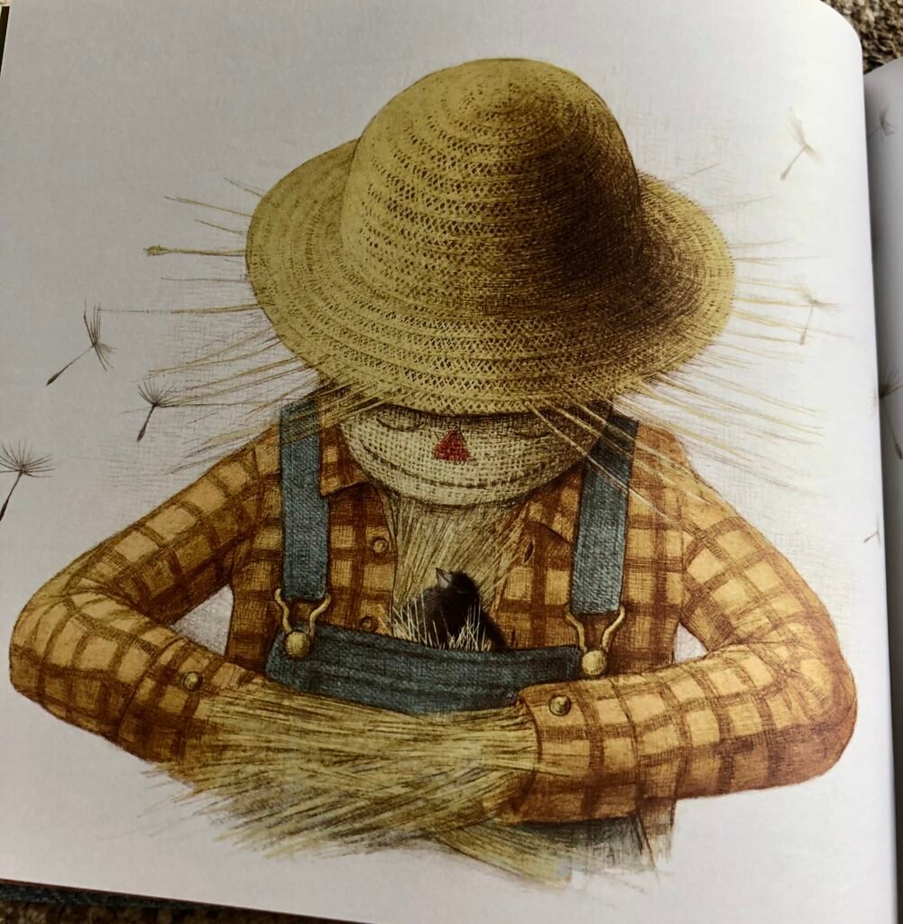 The Scarecrow by Beth Ferry 
Illustrated by the Fan Brothers