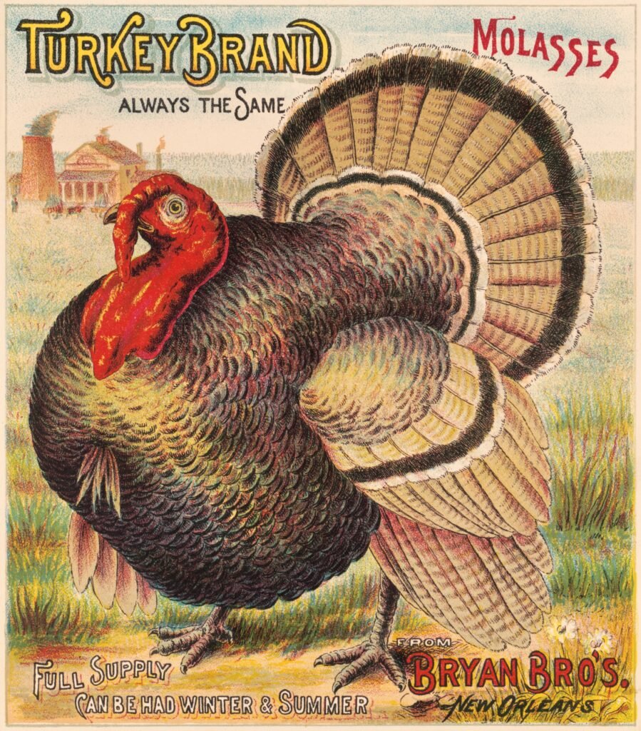 Turkey Brand Molasses, Bryan Bro's.