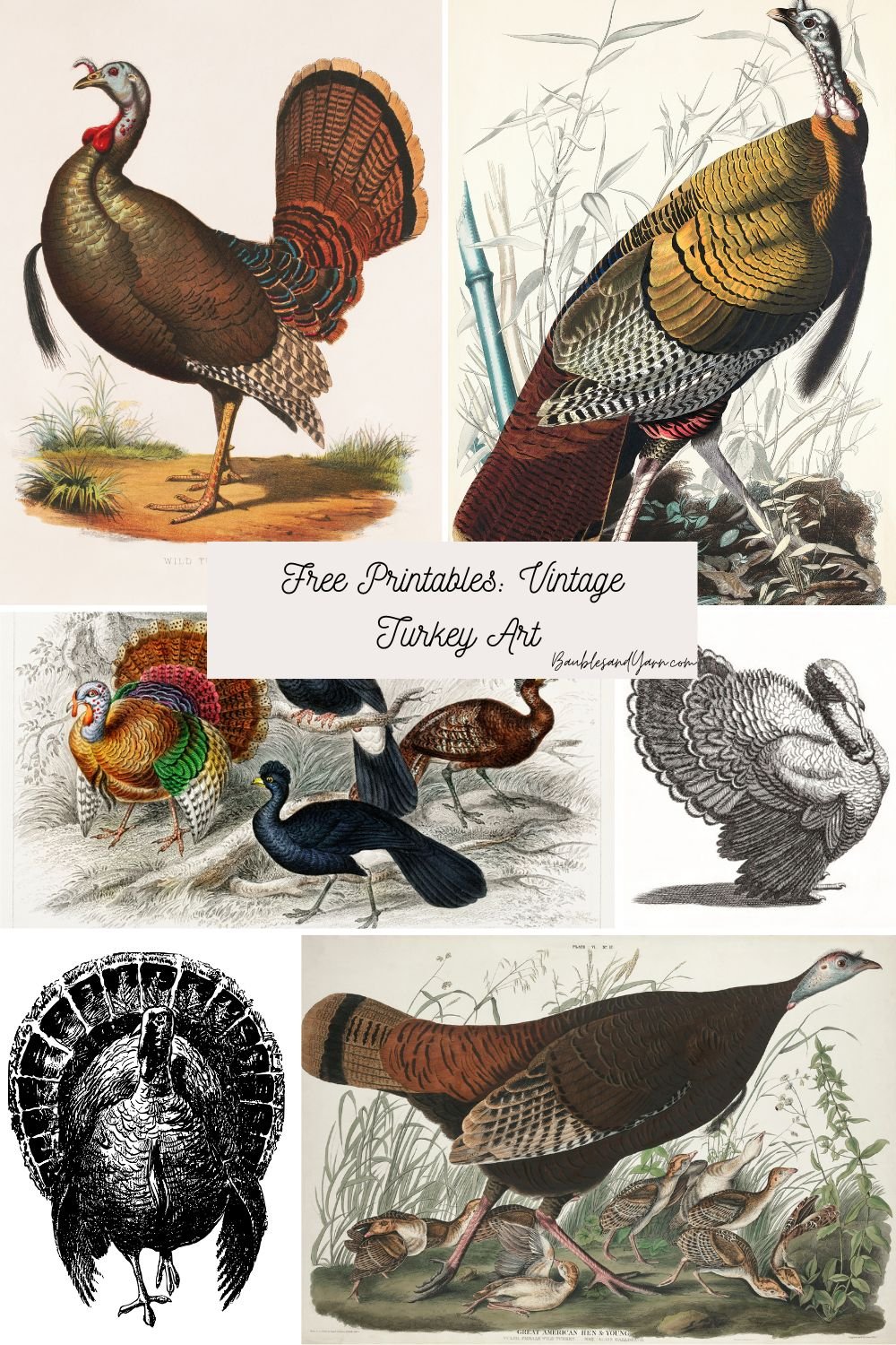 Free Vintage Turkey Art