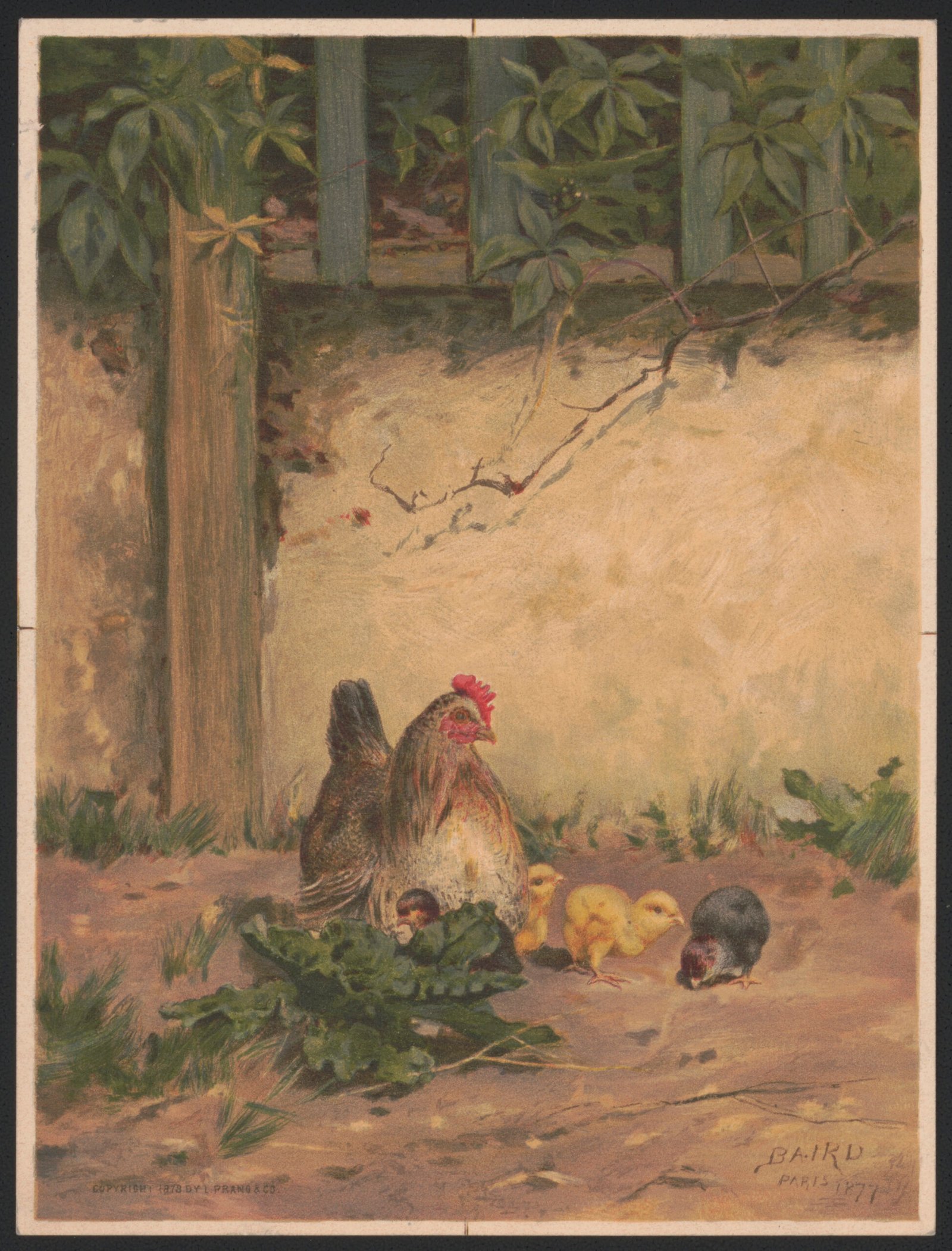 Chickens no.2 , after Baird, 1877. Vintage Spring & Easter Art.