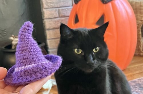 Halloween Witch Hat Crochet Cat Toy
